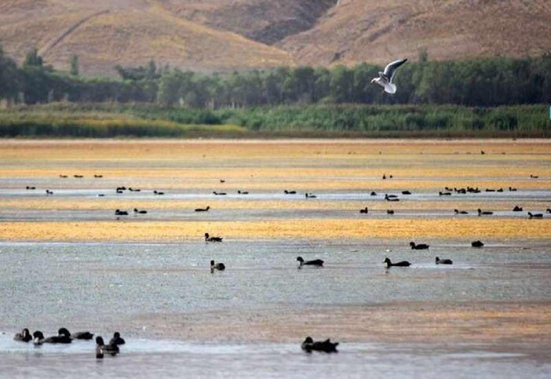 تالاب «قورو گول» تبریز در آستانه خشکی کامل