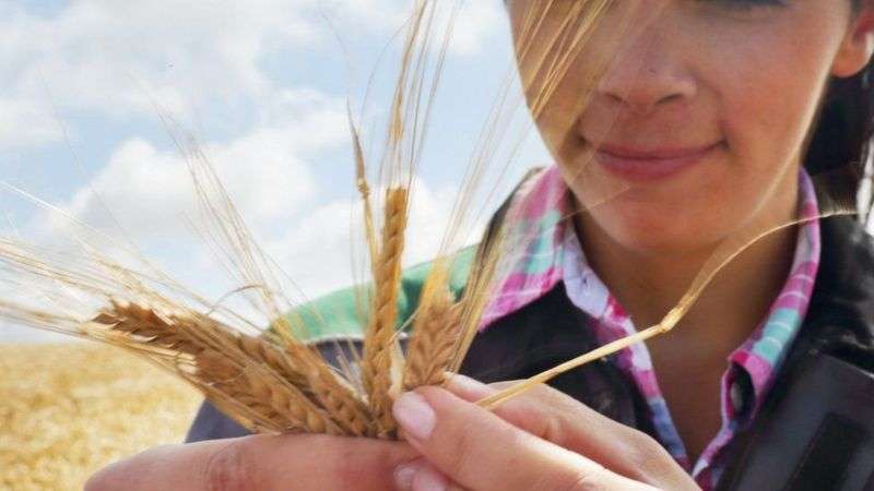 قیمت‌ جهانی مواد غذایی به بالاترین حد در ۱۰ سال اخیر رسید