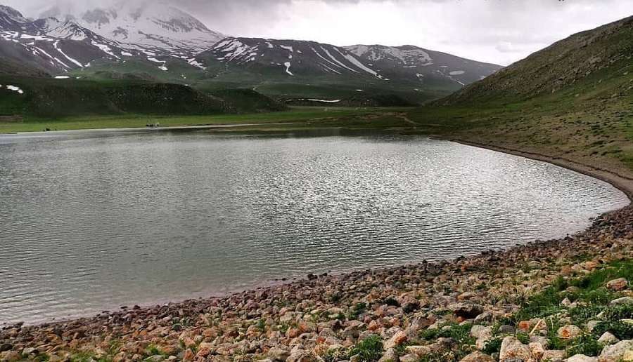 توْووس‌ گؤلو -  سعید صادقی فر