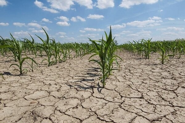۶۴ درصد از آذربایجان غربی دچار خشکسالی «بسیار شدید» است