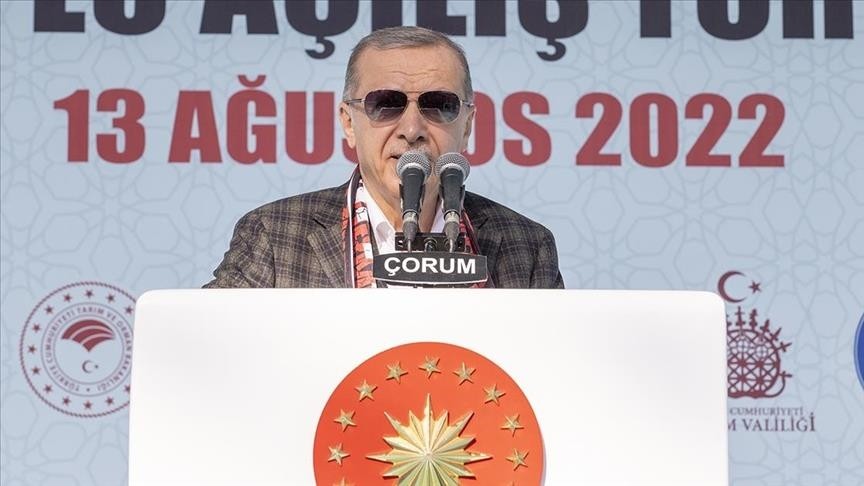 اردوغان: در خارج از مرزهای ترکیه نیز قاطعانه با تروریست‌ها مبارزه می‌کنیم