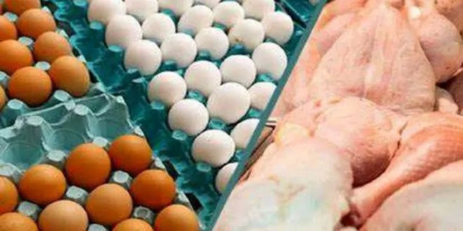 گرانی،  سرانه مصرف مرغ و تخم‌مرغ را کاهش داد