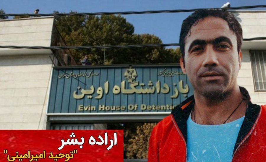 اراده بشر - توحید امیر امینی