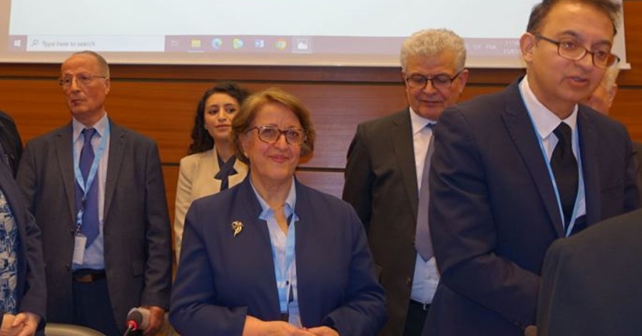 مصاحبه ژاله تبریزی در مورد کنفرانس جمعیت حقوق بشر آذربایجان ارک در مقر سازمان ملل متحد در ژنو