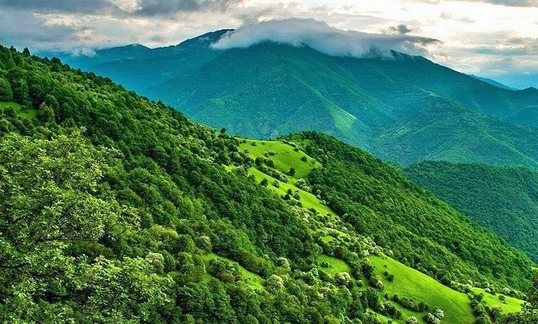 کمبود ۱۷۲ نیروی حفاظتی برای حفاظت از جنگل‌های آذربایجان شرقی