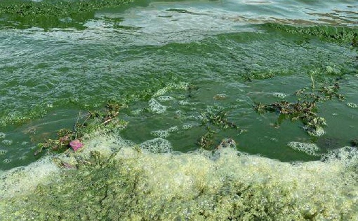 گزارشی از افزایش سرطان و دیگر بیماریهای مردم آذربایجان جنوبی بر اثر آلودگی رود آراز توسط ارمنستان