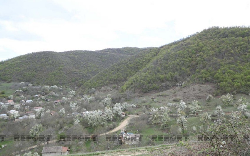 Hadrutda ilk yaşayış məhəlləsində 28 fərdi ev tikiləcək