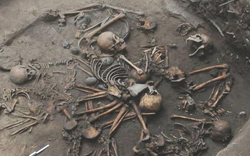 Ağdamda insan skeletinə bənzər sümüklərin aşkarlanması ilə bağlı araşdırmalara başlanılıb