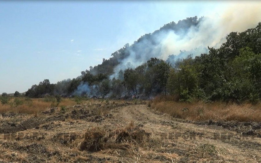 Siyəzən, Şabran, Xaçmaz və Qubadakı meşə yanğınları nəzarətə götürülüb