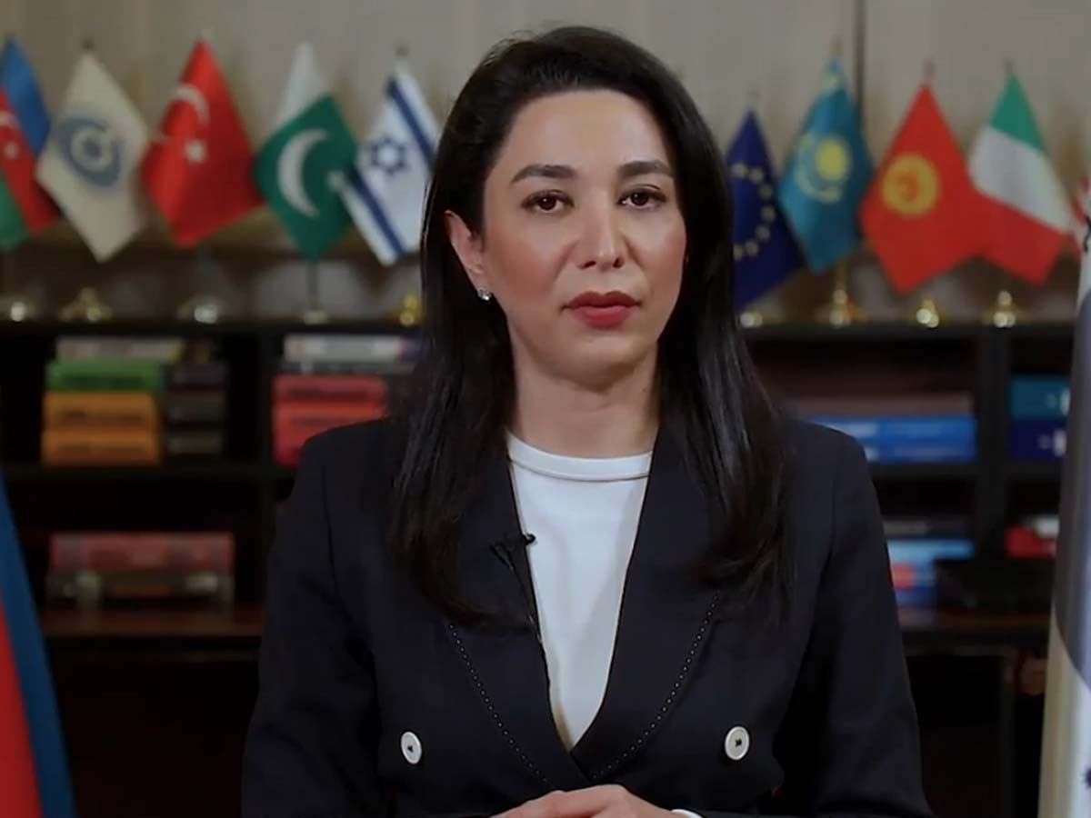 Ombudsman beynəlxalq ictimaiyyətə çağırış edib