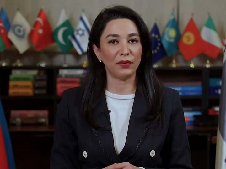 Ombudsman Gəncə qırğını ilə bağlı bəyanat yayıb