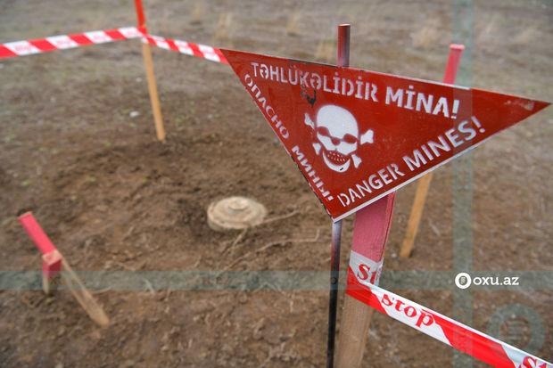 Birləşmiş Krallıq  ANAMA-ya  500 min funt sterlinq ayırıb