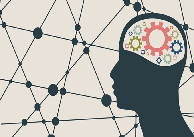 One in every four Iranians suffers from mental illness