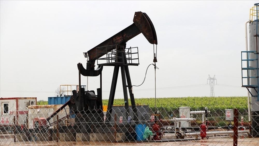 تولید روزانه نفت در ترکیه از 70 هزار بشکه فراتر رفت