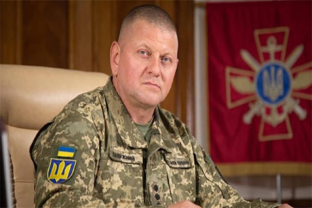 Zelenski Zalujnıya Ukrayna Qəhrəmanı adı verib