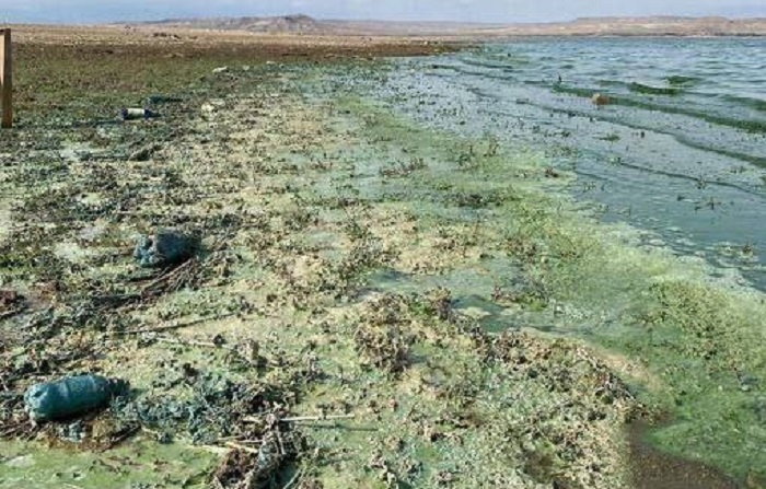 نماینده مشکین شهر: پساب نیروگاه مستامور ارمنستان باعث ابتلای مردم استان اردبیل به سرطان شده