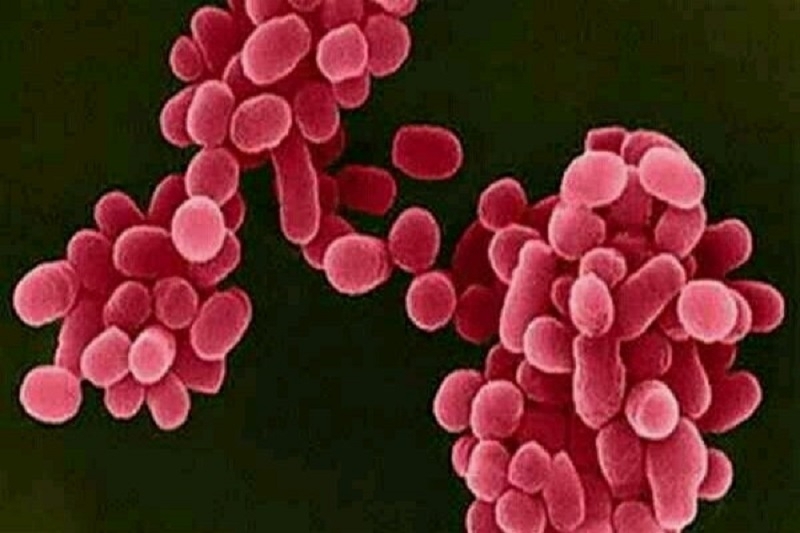 New virus is spreading in Iran