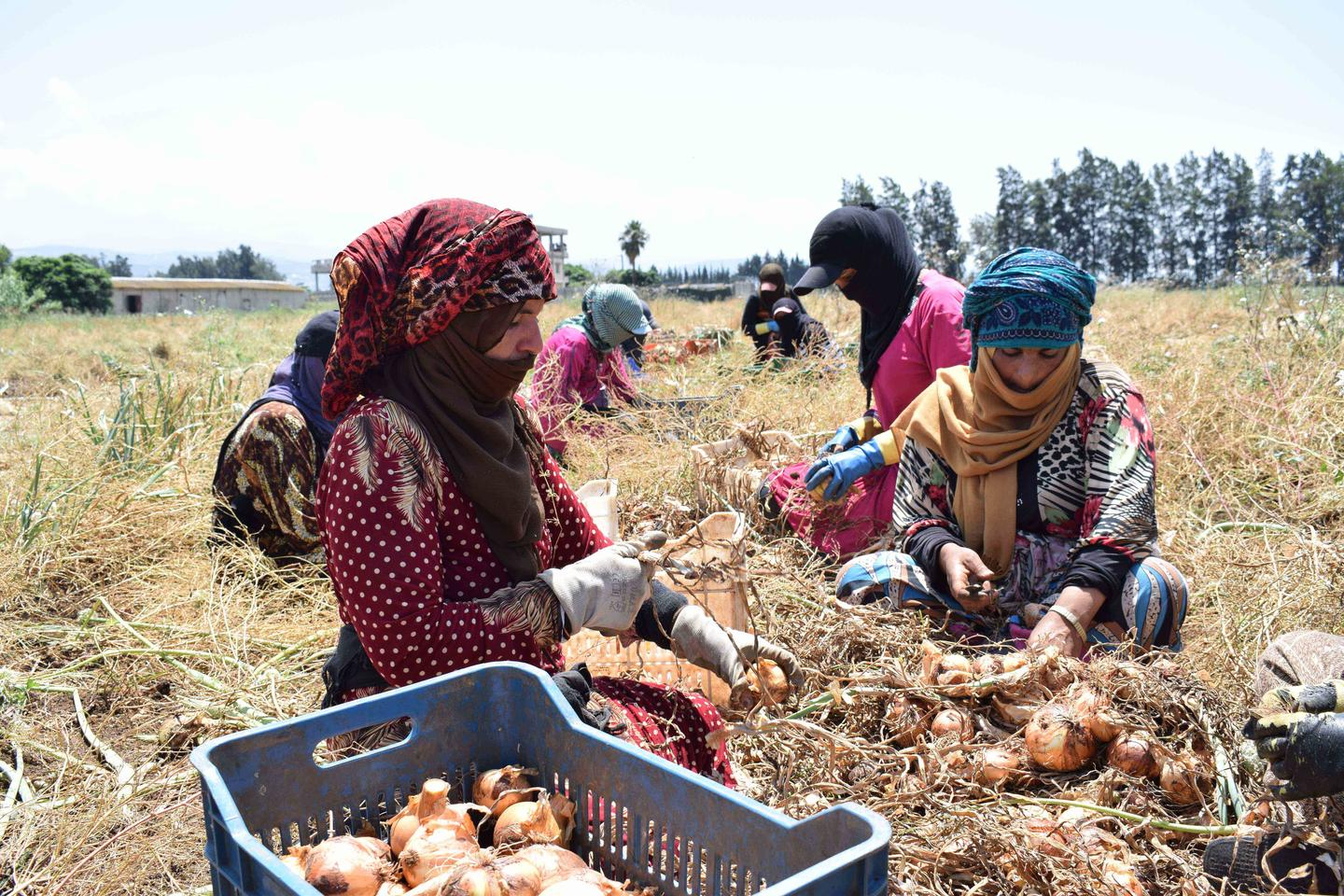 UNDP chief: Iran war could push over 30 million into poverty