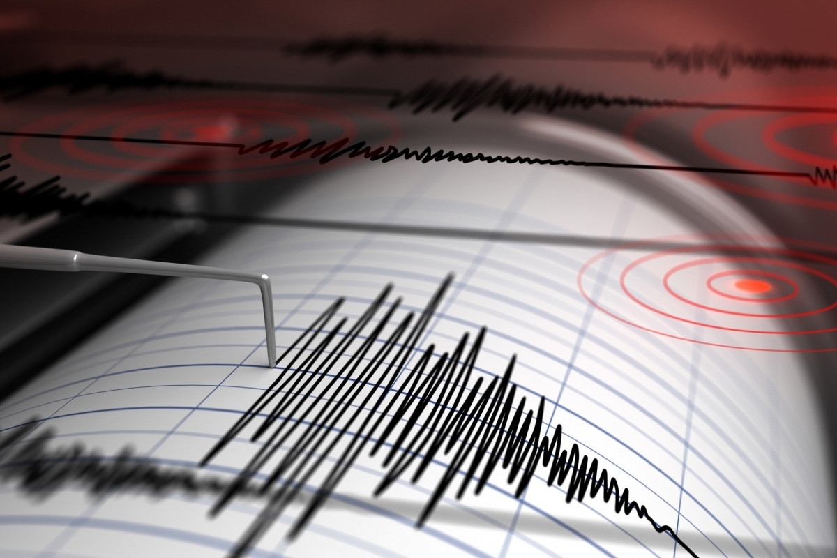 An earthquake struck Iran