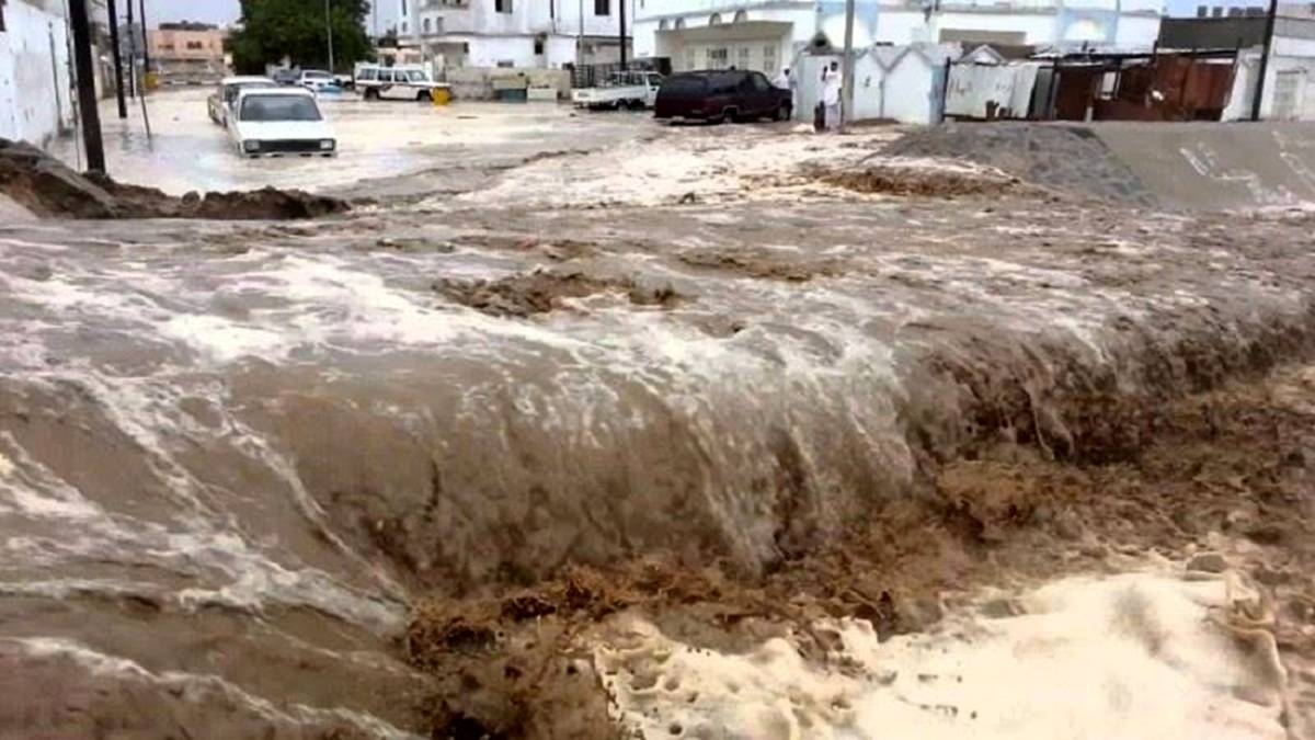 Sel və daşqınlar İranın 20 əyalətinə milyardlarla ziyan vurub