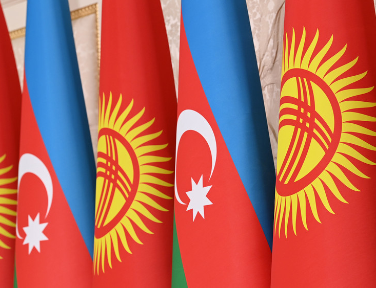 Bakı və Bişkek Qırğızıstanda yem zavodunun tikintisi imkanını müzakirə edir