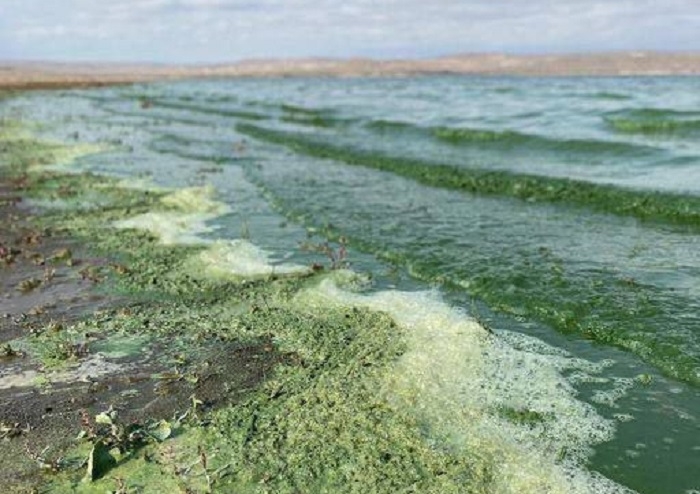 ترور بیولوژیکی آذربایجان توسط ارمنستان با آلوده کردن رود آراز و بی‌تفاوتی ایران