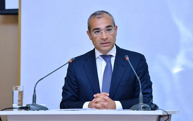 Nazir: "Azərbaycanın Aİ ölkələri ilə bərpa olunan enerji sahəsində imkanları genişdir"