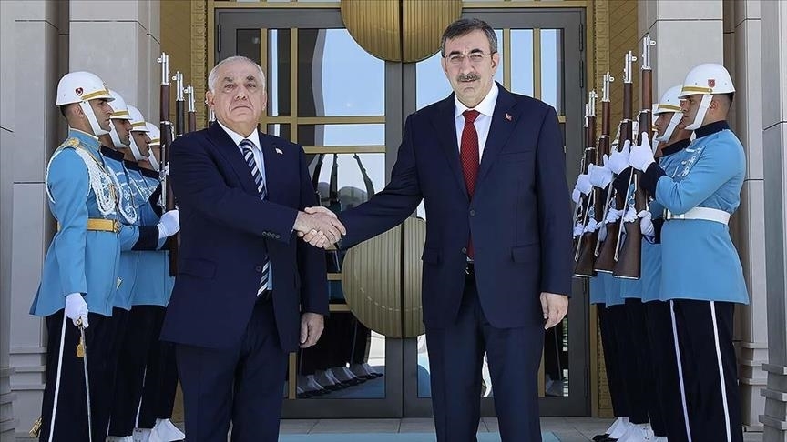 دیدار نخست‌وزیر آذربایجان با معاون رئیس‌جمهور ترکیه