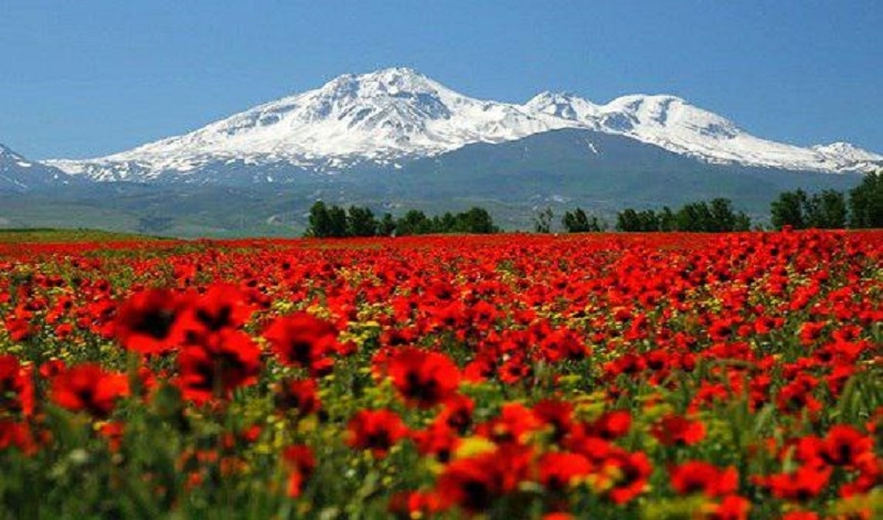 Azərbaycana yaz fəsli gəlib