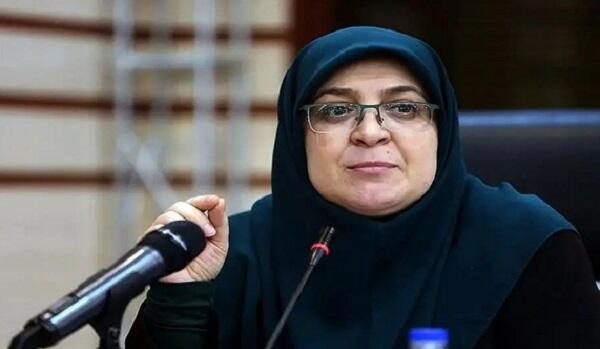 مهاجرانی: تصمیم برای وصل اینترنت با نهادهای امنیتی است
