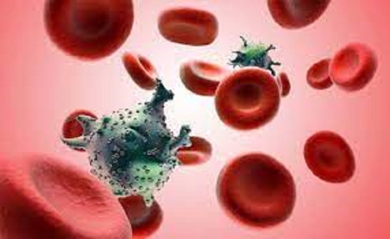 Latest Data on HIV and AIDS in Iran Announced