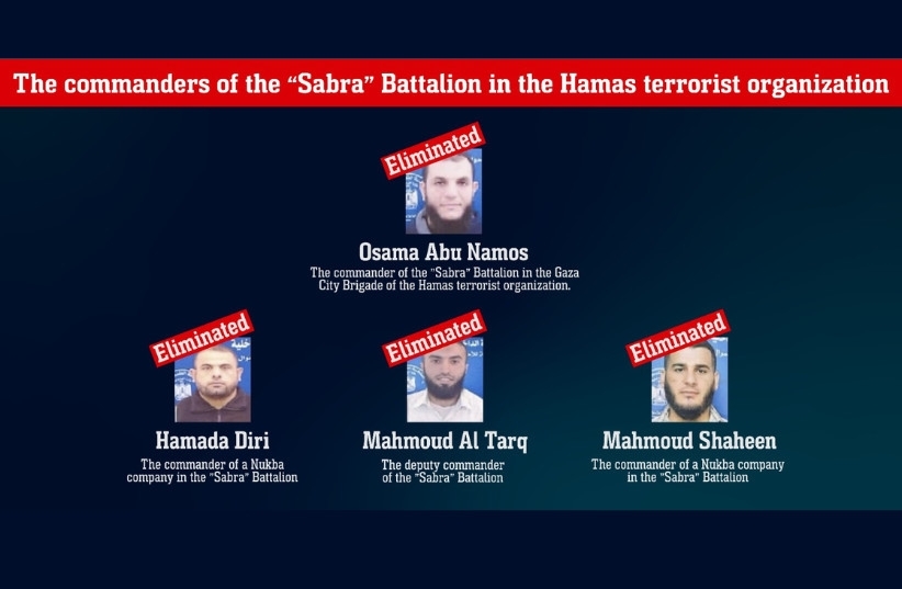 Hamas battalion commander killed in Israeli Airstrikes