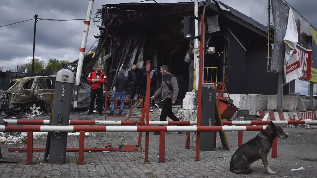 Rusiya Ukraynanın yaşayış məntəqələrinə zərbələr endirib: ölən və yaralananlar var