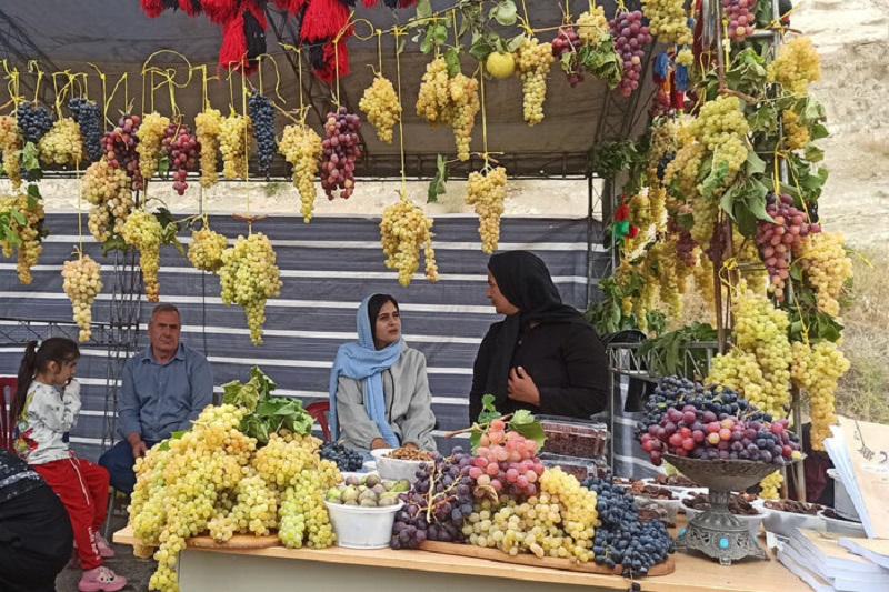 Urmiyada üzüm festivalı keçirilir