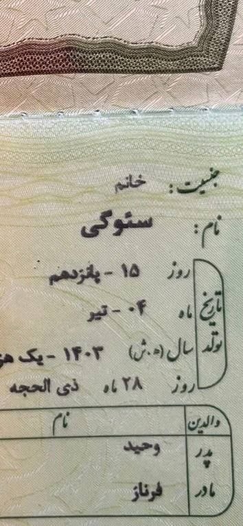 پس از ۵ ماه مقاومت: سئوگی شناسنامه‌دار شد