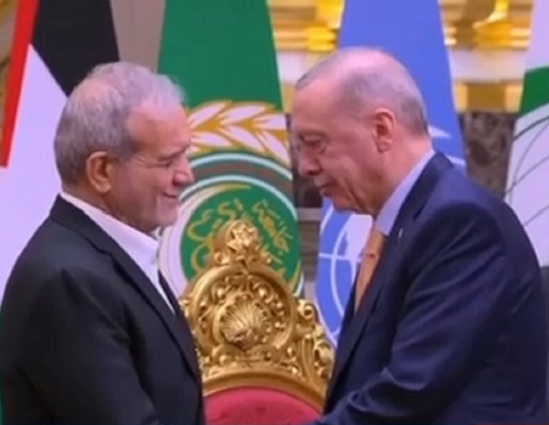 احوالپرسی بدون مترجم اردوغان و پزشکیان