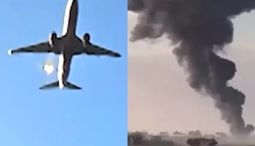 "Boeing 737"-nin quşlarla toqquşma anı yayıldı