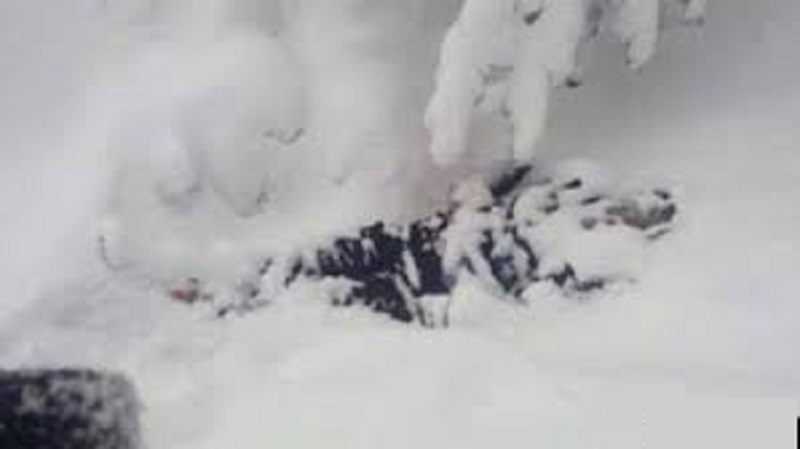 İran-Əfqanistan sərhəddində onlarla qaçqın həlak oldu