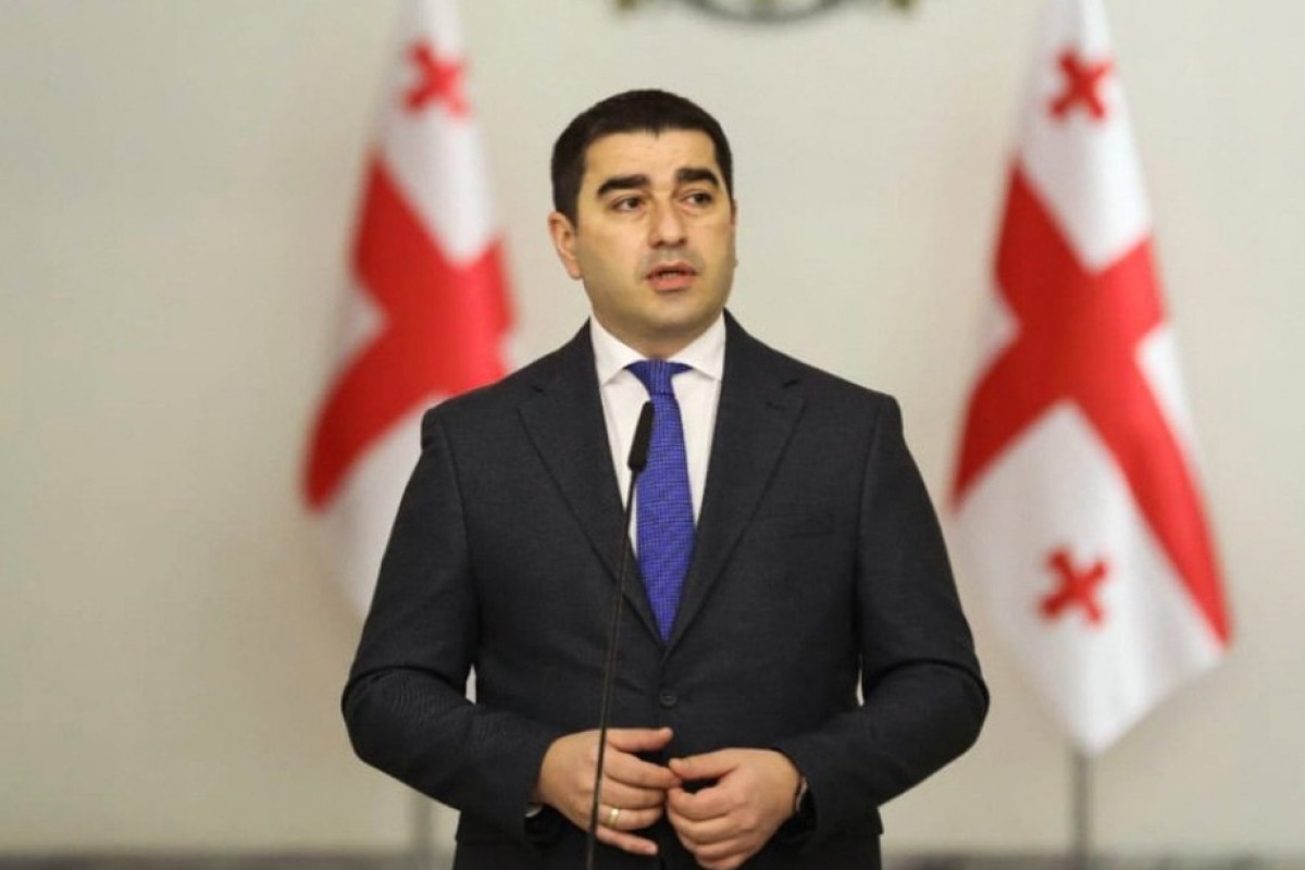 Gürcüstan parlamentinin spikeri avropalı siyasətçiləri ikiüzlülükdə ittiham edib