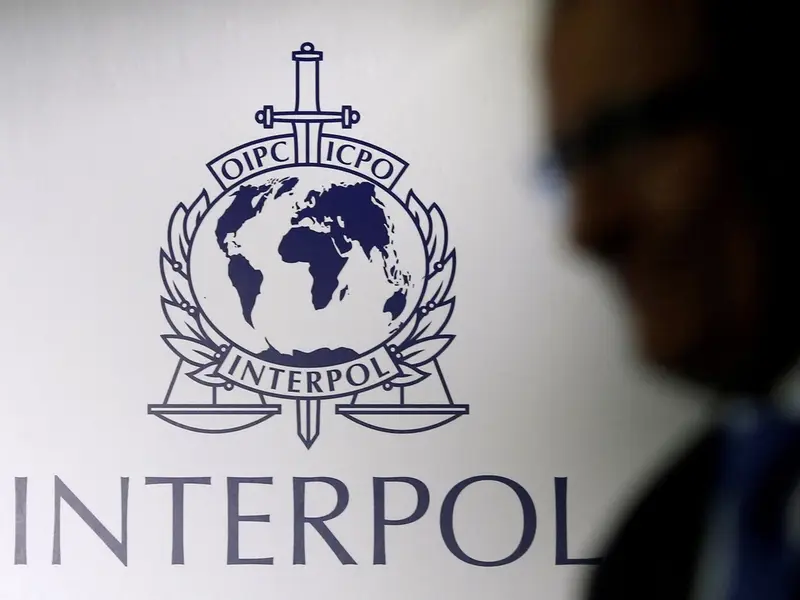 İnterpol cinayətkar dəstələrin dünya üzrə illik 3 trilyon gəlirləri olduğunu bildirib