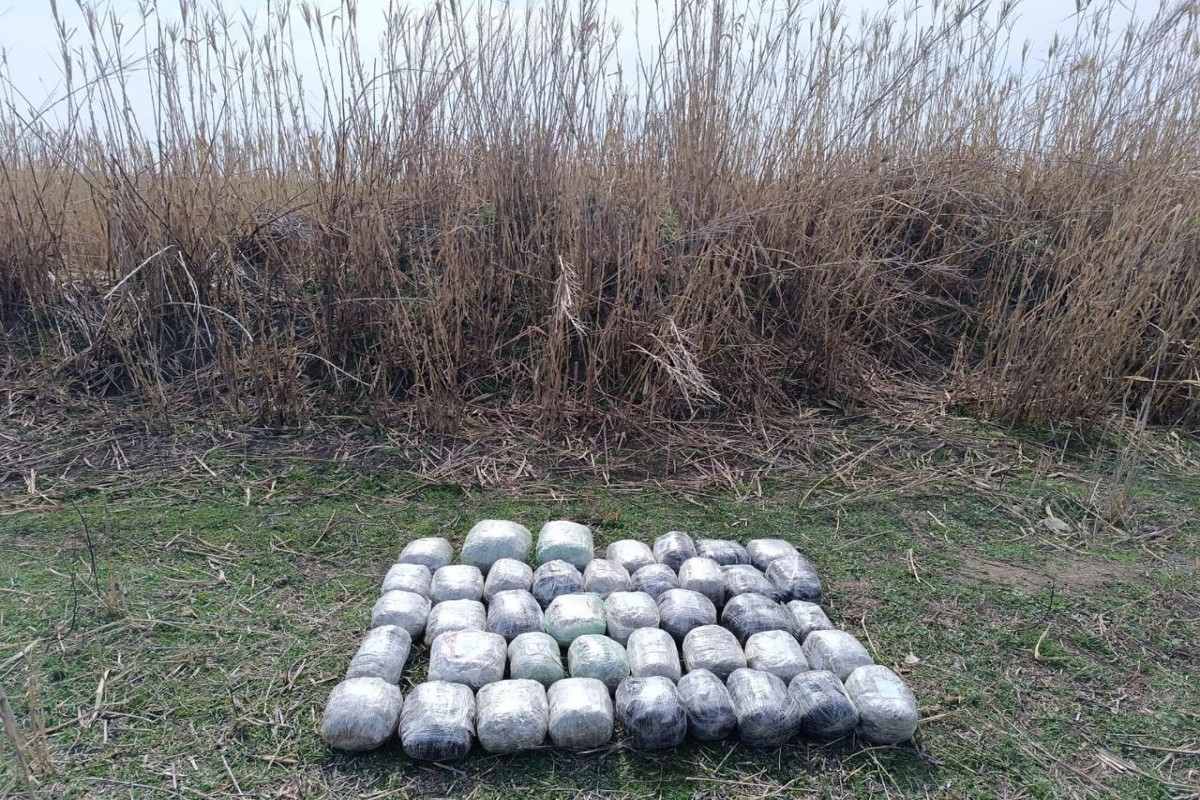 Iran attempted to smuggle 46 kg of drugs to Azerbaijan