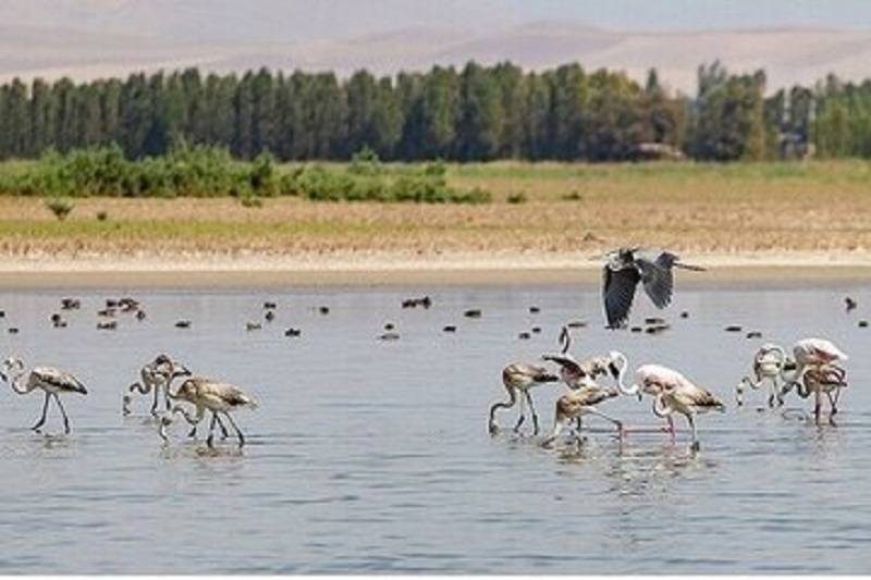 Binab’s natural monument to be internationally registered