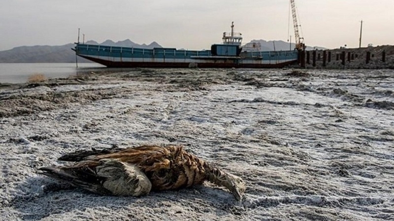 Ekoloq: Urmiya gölünün canlanması ilə bağlı iddialar əsassızdır