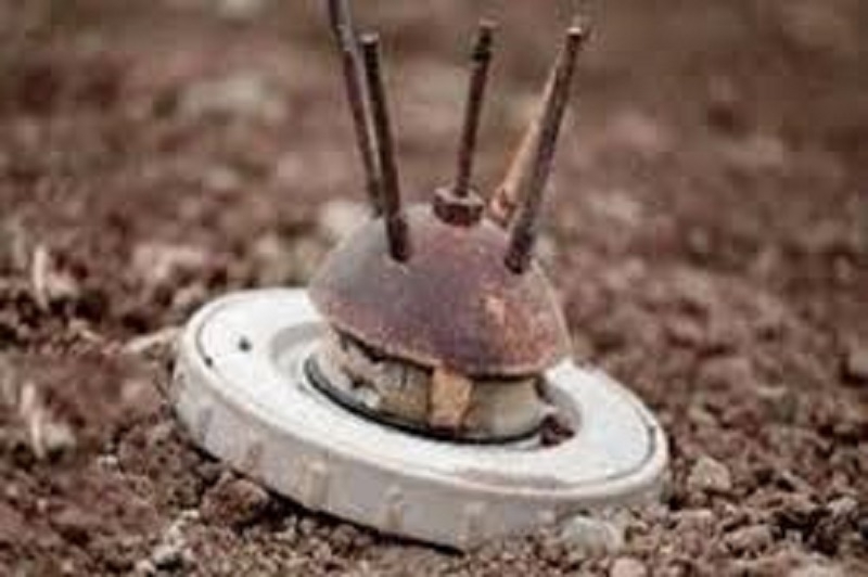 An Iranian border guard has stepped on a mine