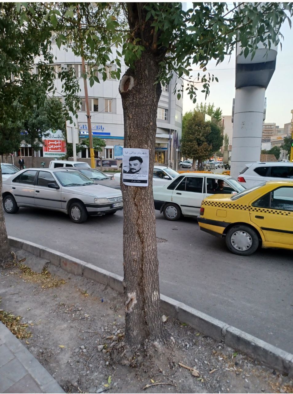 نصب‌ تصاویر‌ شهریار‌ براتی‌ فعال‌ حقوق‌ بشر‌ در‌ سطح‌ شهر اردبیل