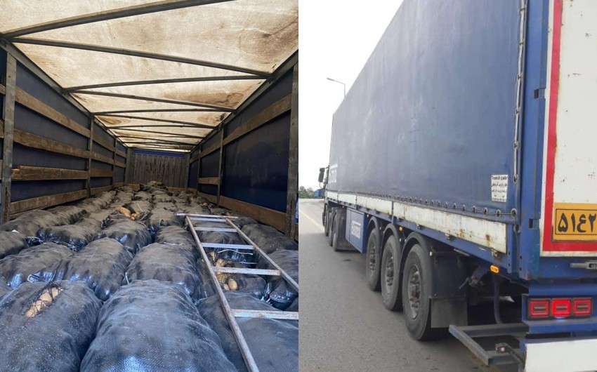 İrandan Azərbaycana gətirilən 64 ton kartof geri qaytarılıb
