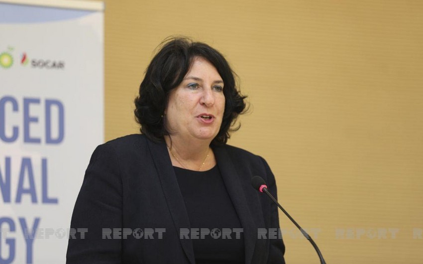 Brenda Şaffer: “Getdikcə daha çox böyük şirkətlər Orta Dəhlizə qoşulmağa çalışır”