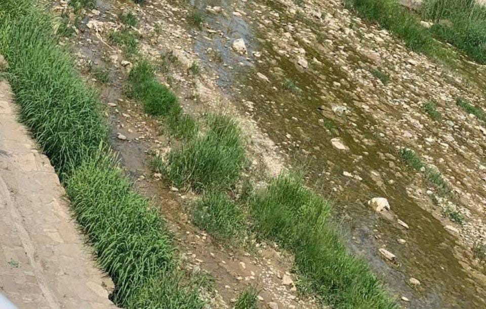 Urmuda su qıtlığı: Əkin sahələri susuz qalıb